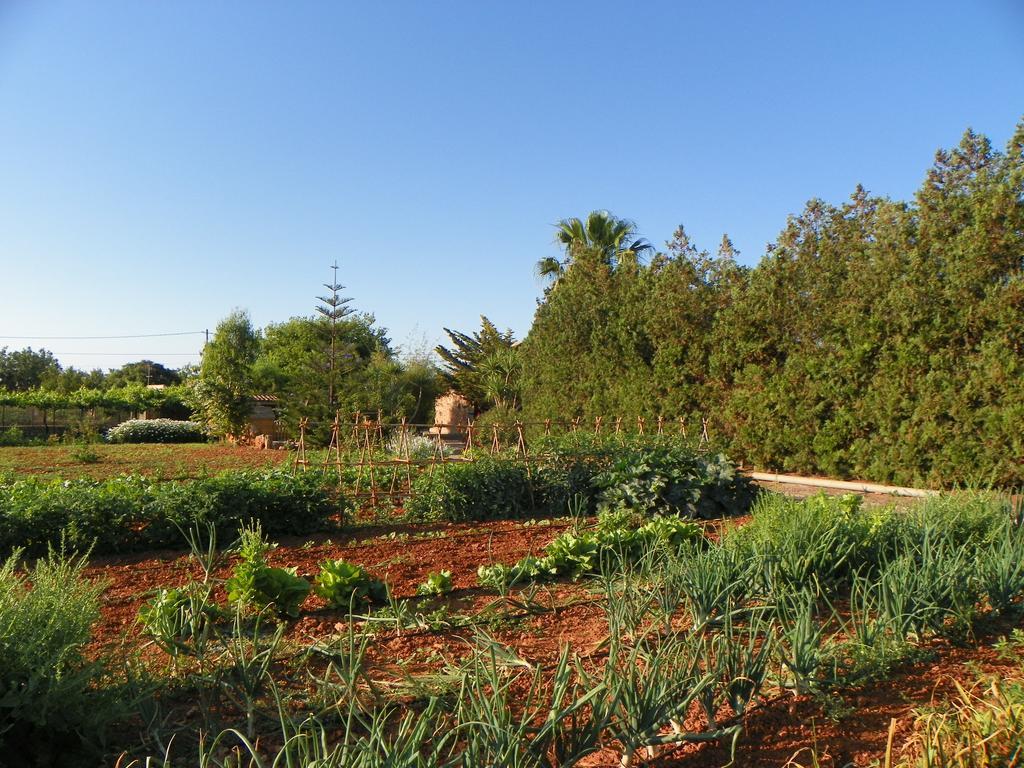 Agroturisme Can Bessol S'Horta Экстерьер фото